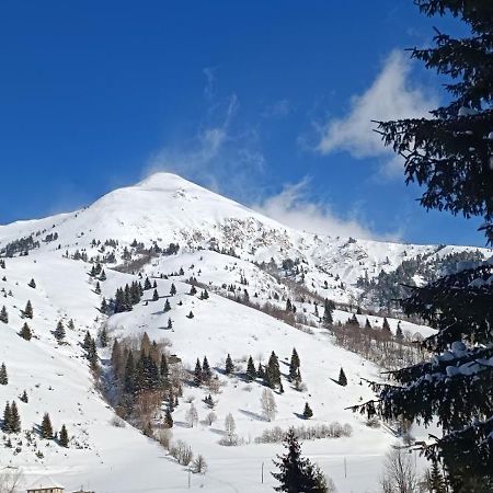 Pinetrees Lodge 普拉夫 外观 照片