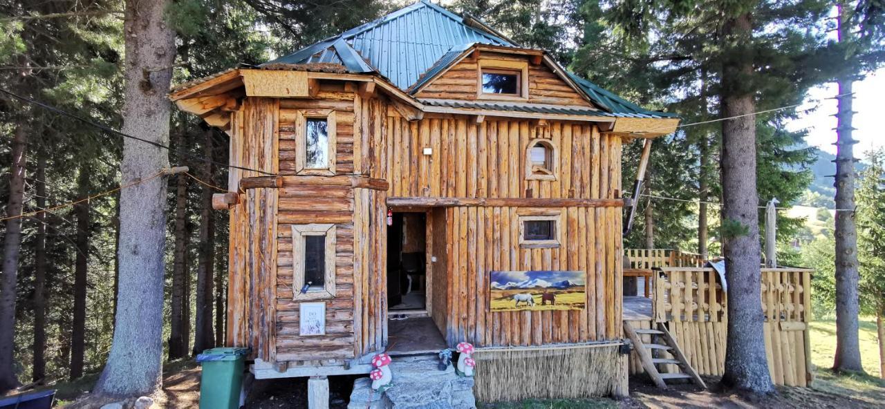Pinetrees Lodge 普拉夫 外观 照片