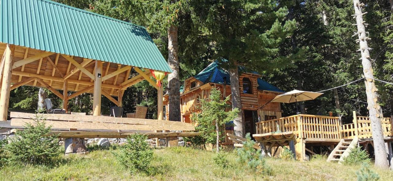 Pinetrees Lodge 普拉夫 外观 照片