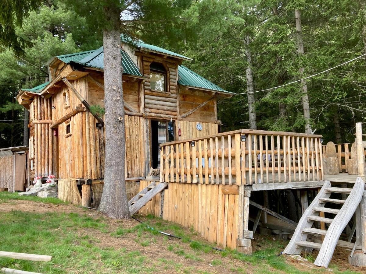 Pinetrees Lodge 普拉夫 外观 照片