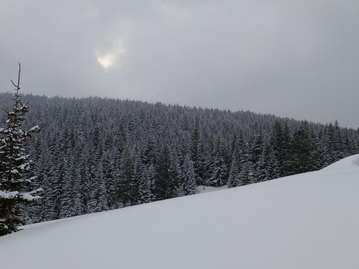 Pinetrees Lodge 普拉夫 外观 照片