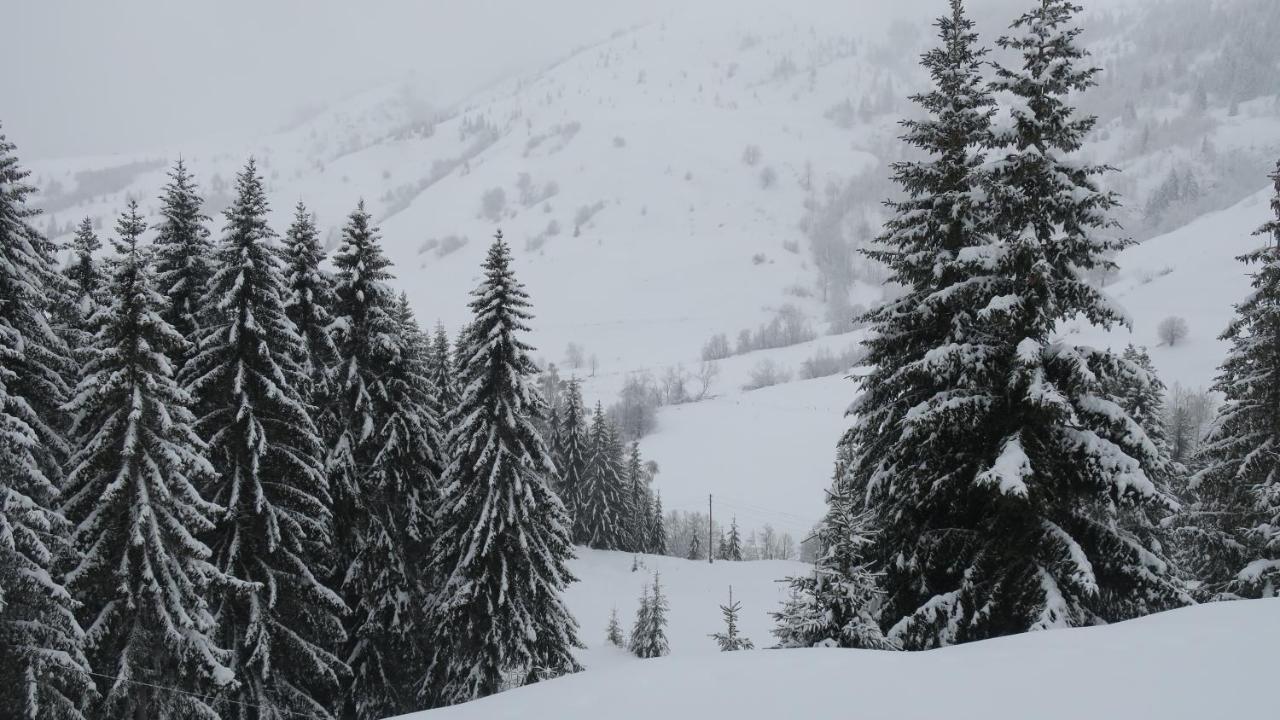 Pinetrees Lodge 普拉夫 外观 照片