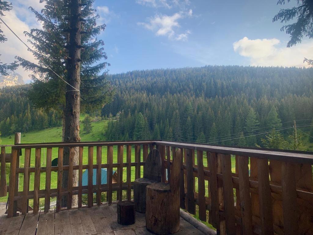 Pinetrees Lodge 普拉夫 外观 照片