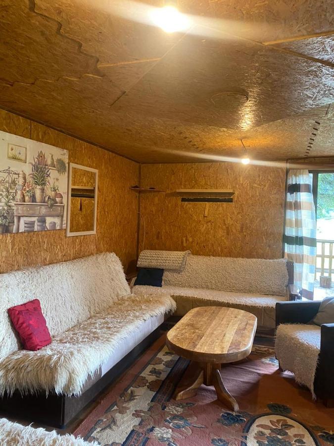Pinetrees Lodge 普拉夫 外观 照片