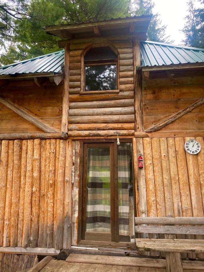 Pinetrees Lodge 普拉夫 外观 照片