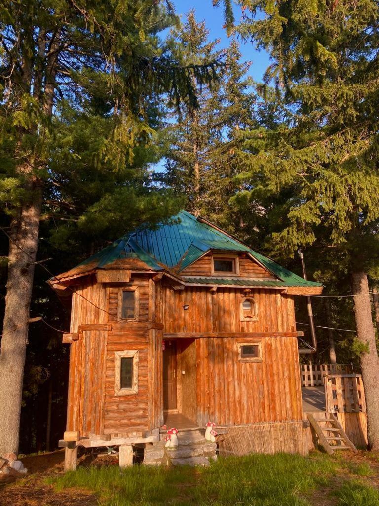 Pinetrees Lodge 普拉夫 外观 照片